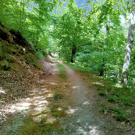 Rustique A Avec Vue Montagne Chalet