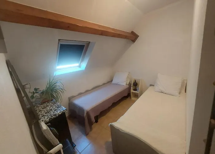 Σαλέ Rustique A Avec Vue Montagne La Salvetat-sur-Agout